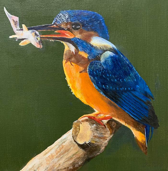 Maleri af isfugle Kingfisher af kunstner Bo Toft